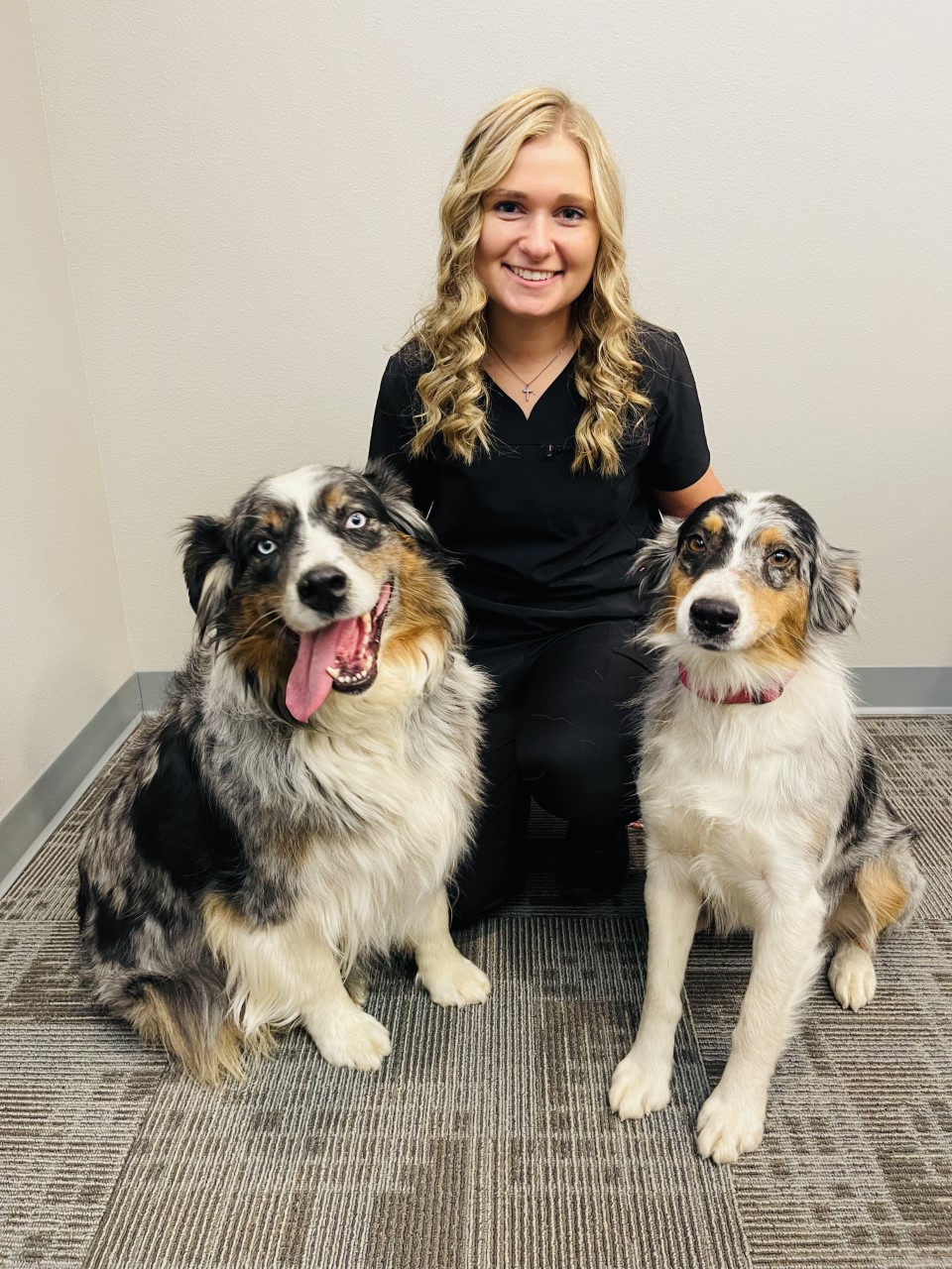 Best Veterinary Hospital In Ottumwa, IA Ottumwa Family
