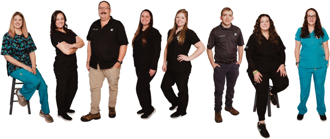 team-gp