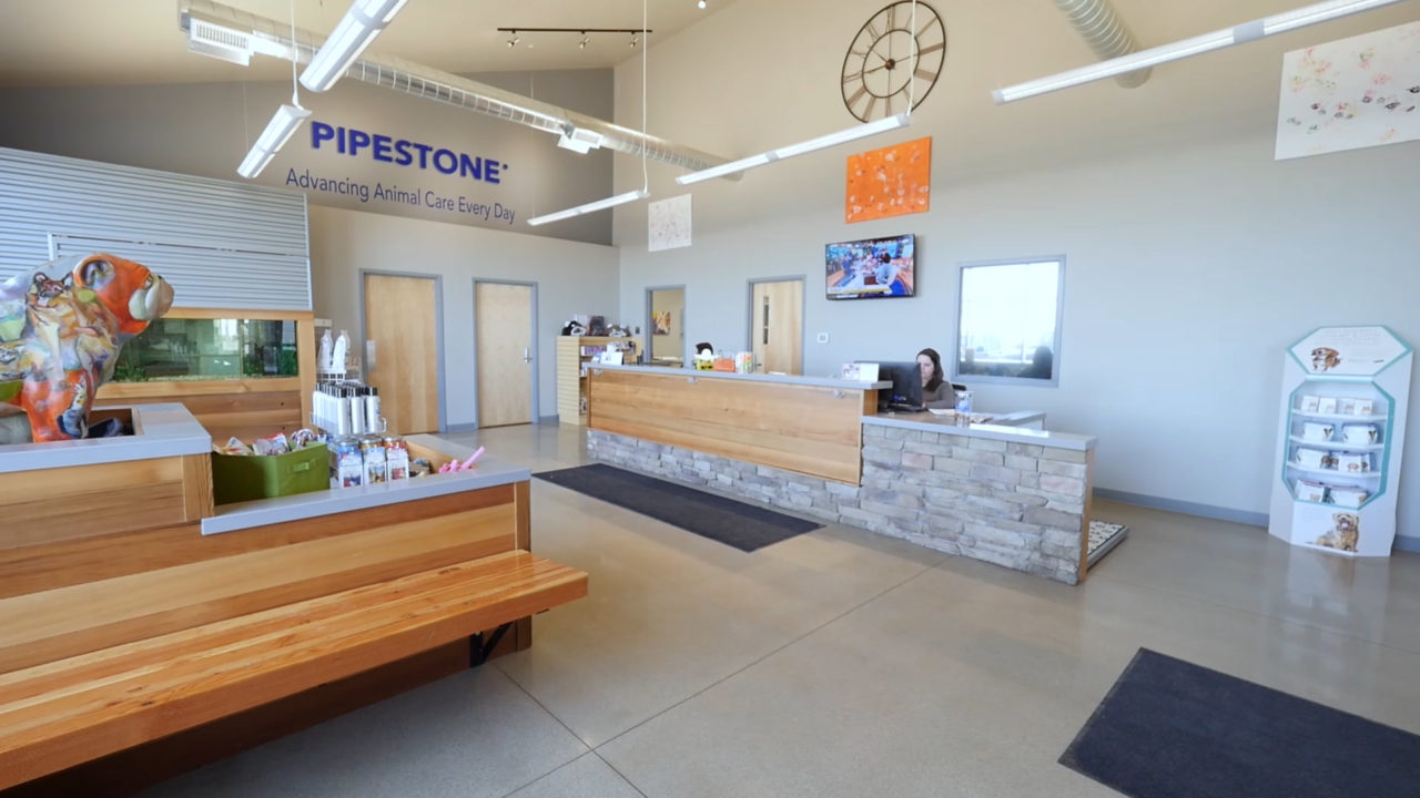 Ottumwa Family Animal Care Patient Gallery Vet Clinic In Ottumwa, IA