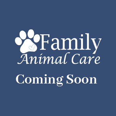 coming soon image