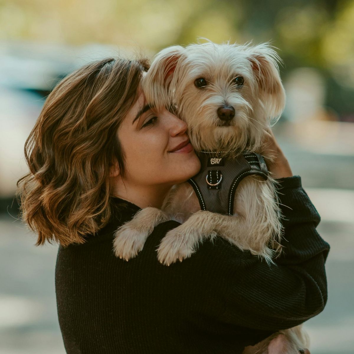 lady-holding-dog